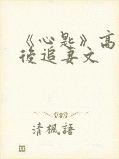 《心匙》高干婚后追妻文