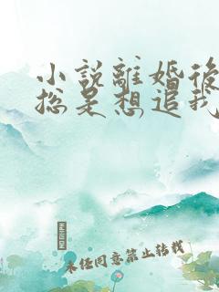 小说离婚后前夫总是想追我免费看