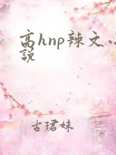 高hnp辣文小说