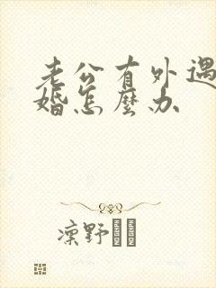 老公有外遇提离婚怎么办