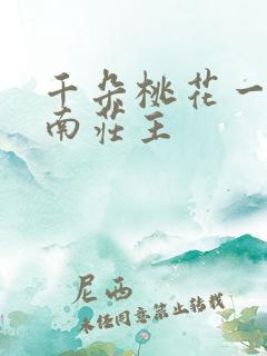 千朵桃花一世开南庄主