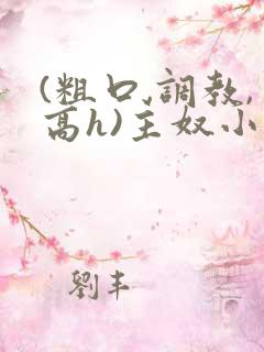 (粗口,调教,高h)主奴小说