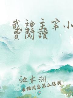 武神主宰小说免费阅读