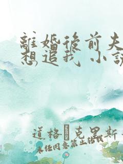 离婚后前夫总是想追我 小说