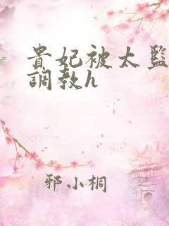 贵妃被太监折磨调教h