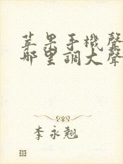 苹果手机声音在哪里调大声