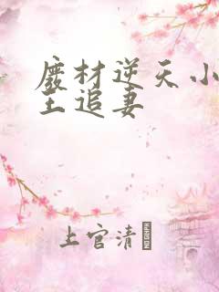 废材逆天小姐邪王追妻