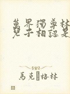 万界独尊林枫与儿子相认是哪一集