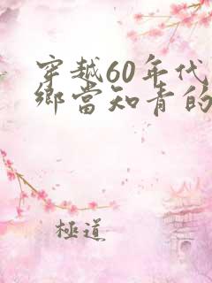 穿越60年代下乡当知青的小说