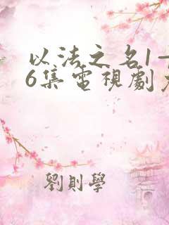 以法之名1—36集电视剧免费观看剧情介绍