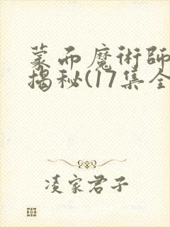 蒙面魔术师魔术揭秘(17集全)