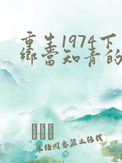重生1974下乡当知青的小说