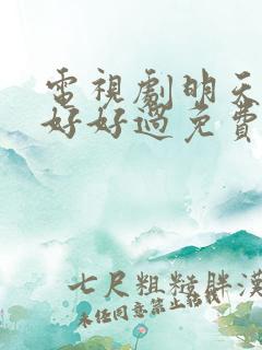 电视剧明天我们好好过免费观看