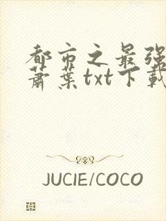 都市之最强仙医萧叶txt下载