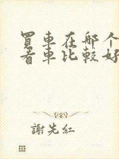 买车在哪个平台看车比较好