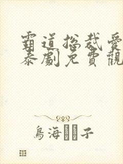 霸道总裁爱上我泰剧免费观看