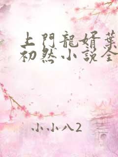 上门龙婿叶辰萧初然小说全文阅读