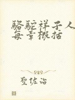 骆驼祥子人教版每章概括