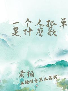 一个人孤单歌词是什么歌