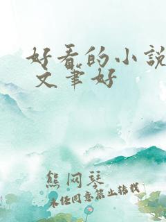 好看的小说推荐 文笔好