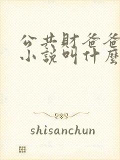 公共财爸爸原著小说叫什么名字