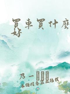 买车买什么牌子好