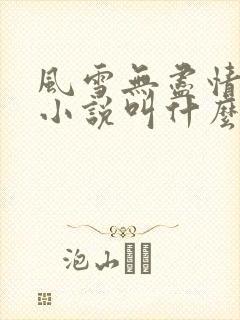 风雪无尽情原著小说叫什么