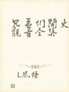 兄弟们开火免费观看全集