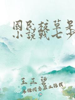 国民校草是女生小说战七少