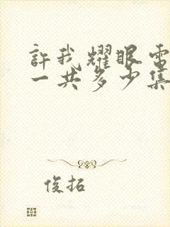 许我耀眼电视剧一共多少集啊