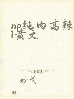 np纯肉高辣bl黄文