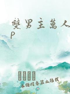 双男主万人迷np