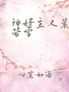 神婿主人叶凡唐若雪