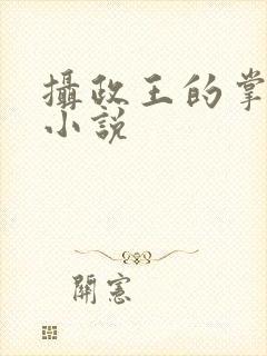 摄政王的掌心凰小说