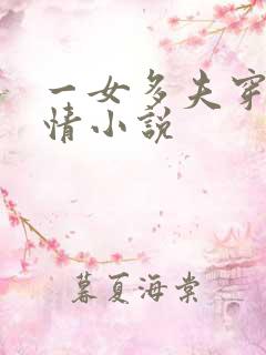一女多夫穿越言情小说