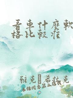 看车什么软件价格比较准