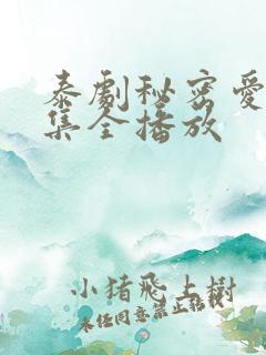 泰剧秘密爱13集全播放