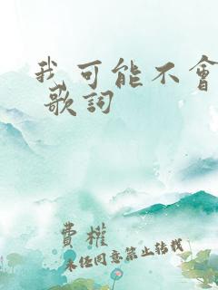 我可能不会爱你 歌词