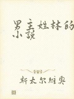 男主姓林的玄幻小说