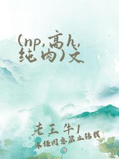 (np,高h,纯肉)文