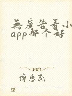 无广告看小说的app哪个好