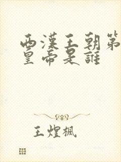 西汉王朝第一个皇帝是谁