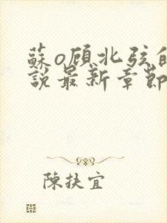 苏o顾北弦的小说最新章节免费阅读