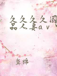 久久久久国产精品人妻aⅴ中出