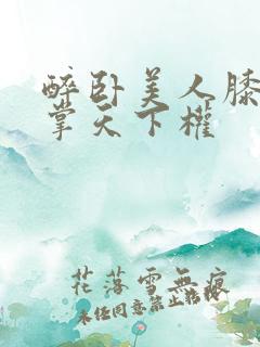 醉卧美人膝,醒掌天下权