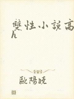 双性小说高肉高h