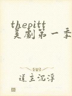 thepitt美剧第一季免费观看