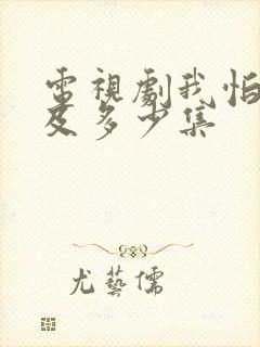 电视剧我怕来不及多少集