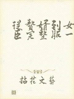 从赘婿到女帝宠臣完整版一共多少章