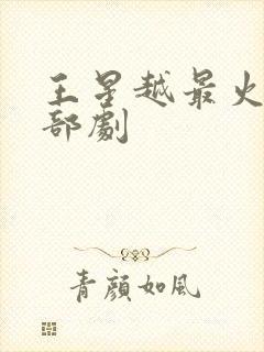 王星越最火的三部剧